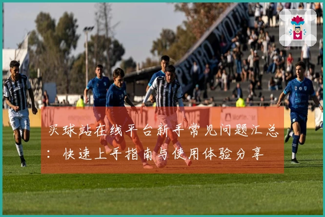 买球站在线平台新手常见问题汇总:快速上手指南与使用体验分享